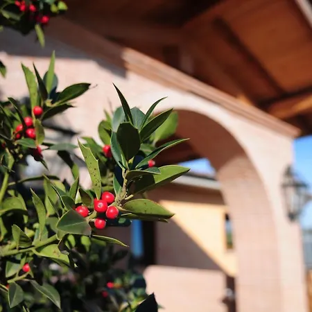 فندق مبيت وإفطار Poggio Dei Cavalieri