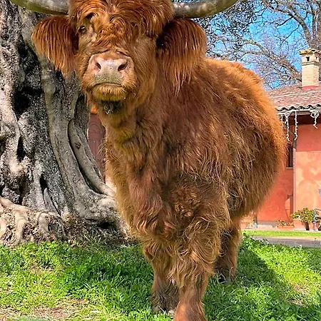 Poggio Dei Cavalieri