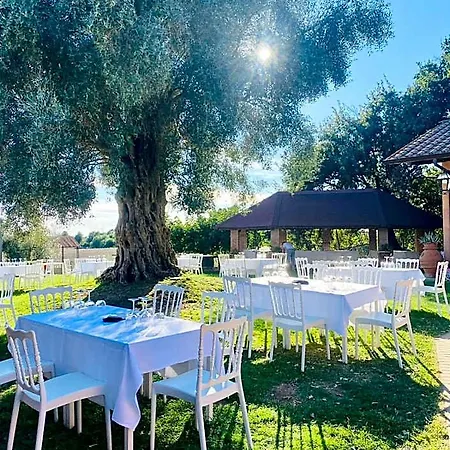 Poggio Dei Cavalieri לינה וארוחת בוקר