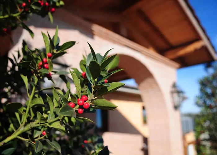 Bed & Breakfast Poggio Dei Cavalieri